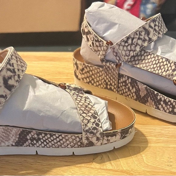 Band of Gypsies Newport Beige Snake Print Leather size 6  NIB MSRP $90 - Picture 2 of 4